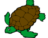 Disegno Tartaruga  pitturato su acciughina tartarughina