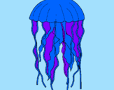 Disegno Medusa  pitturato su alessandro