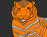 Disegno Tigre pitturato su Alex