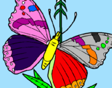 Disegno Farfalla  pitturato su ele 2