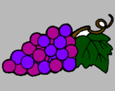 Disegno grappolo  pitturato su mamma uva