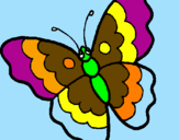 Disegno Farfalla  pitturato su betta
