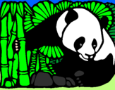 Disegno Orso panda con bambù  pitturato su zaira