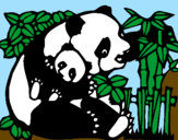 Disegno Mamma panda  pitturato su nicolò