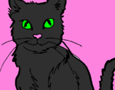 Disegno Gatto  pitturato su gatto  nero  