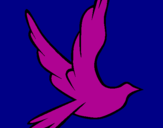 Disegno Colomba della pace in volo pitturato su ALBA