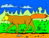 Disegno Coyote pitturato su bruno