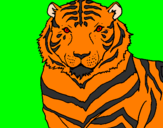 Disegno Tigre pitturato su lindsey