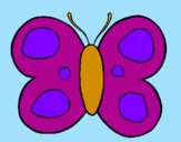 Disegno Farfalla  pitturato su claud1i10