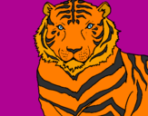 Disegno Tigre pitturato su Azamut
