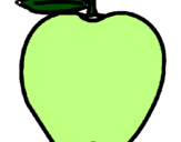 Disegno mela  pitturato su FIRST