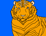 Disegno Tigre pitturato su costanza
