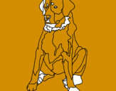 Disegno Labrador pitturato su silvia
