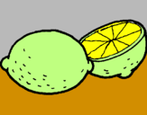 Disegno limone  pitturato su Lamii