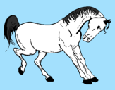 Disegno Cavallo che balla  pitturato su ERIKA E DAVIDE