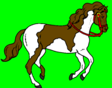 Disegno Cavallo 5 pitturato su ELISA