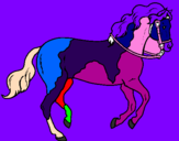 Disegno Cavallo 5 pitturato su JESSICA