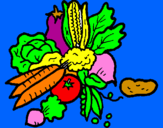 Disegno verdure  pitturato su EDO 13