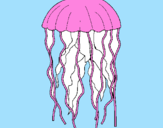 Disegno Medusa  pitturato su claudia