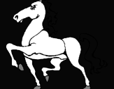 Disegno Cavallo in sfilata  pitturato su ERIKA E DAVIDE
