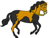 Disegno Cavallo 5 pitturato su MATILDA