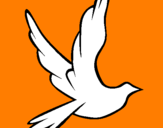 Disegno Colomba della pace in volo pitturato su alice