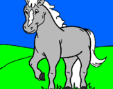 Disegno Cavallo pitturato su ERIKA E DAVIDE