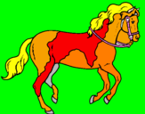 Disegno Cavallo 5 pitturato su elisamorotti