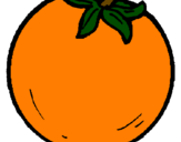 Disegno arance  pitturato su Arancio