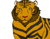 Disegno Tigre pitturato su vinceno