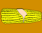 Disegno Pannocchia di mais  pitturato su lara