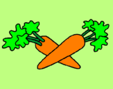 Disegno carote  pitturato su naominao