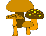 Disegno Funghi pitturato su ARIANNA