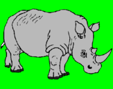 Disegno Rinoceronte  pitturato su rinoceronte
