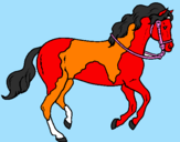 Disegno Cavallo 5 pitturato su vdft