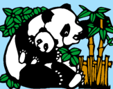 Disegno Mamma panda  pitturato su michela