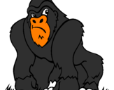 Disegno Gorilla pitturato su carmelo