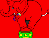 Disegno Elefante sulla palla  pitturato su vincenzo