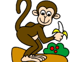 Disegno Scimmietta  pitturato su Franca