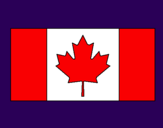 Disegno Canada pitturato su eus