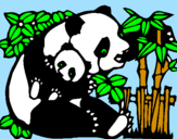 Disegno Mamma panda  pitturato su matilde 