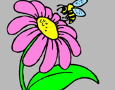 Disegno Margherita con ape  pitturato su flavia