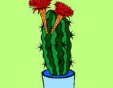 Disegno Cactus fioriti pitturato su lilly