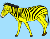 Disegno Zebra  pitturato su annunziata francesco