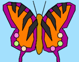 Disegno Farfalla  pitturato su viola