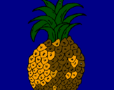 Disegno ananas  pitturato su RICCARDO