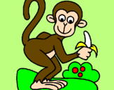 Disegno Scimmietta  pitturato su antonio s.