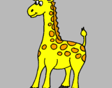 Disegno Giraffa pitturato su filippo
