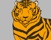 Disegno Tigre pitturato su antonio s.