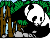 Disegno Orso panda con bambù  pitturato su francesco arpaia